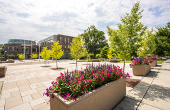 Town of Wake Forest Town Hall, New Construction – LEED Platinum Certified
