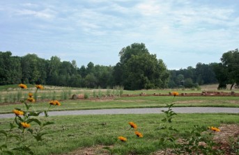 City of Raleigh, Annie Louise Wilkerson, MD Nature Preserve Park Phase I & Phase II, Raleigh, NC