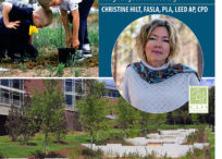Christine Hilt Receives AIA Triangle Gail Lindsey Award for Sustainable Design